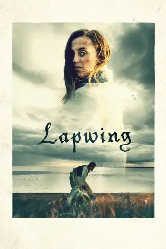 Lapwing_peliplat