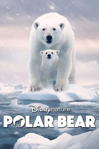Polar Bear_peliplat