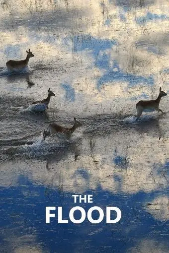 The Flood_peliplat