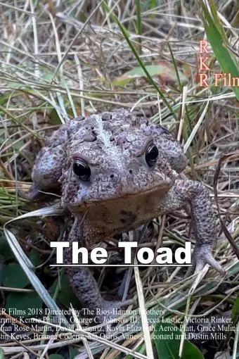 The Toad_peliplat