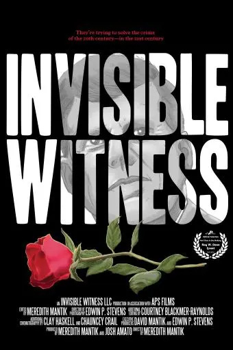 Invisible Witness_peliplat