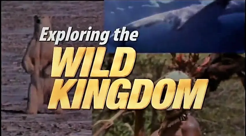 Exploring the Wild Kingdom_peliplat