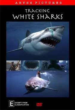 Tracking White Sharks_peliplat