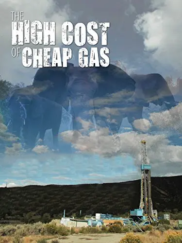 The High Cost of Cheap Gas_peliplat