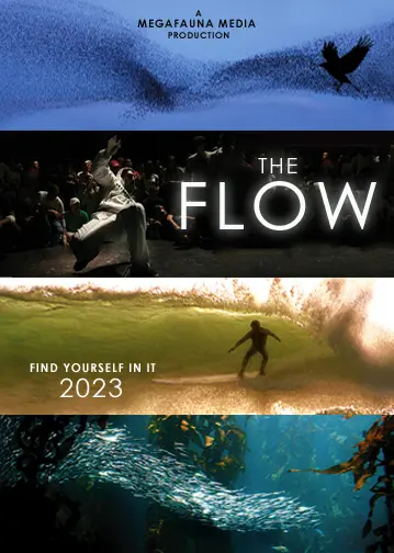 The Flow_peliplat