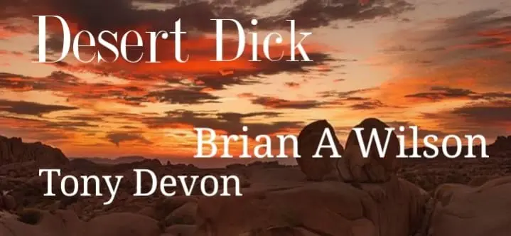 Desert Dick_peliplat