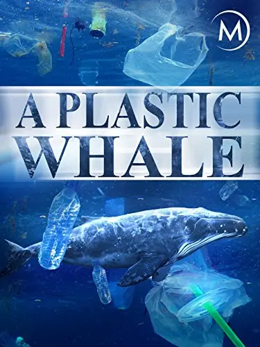 A Plastic Whale_peliplat
