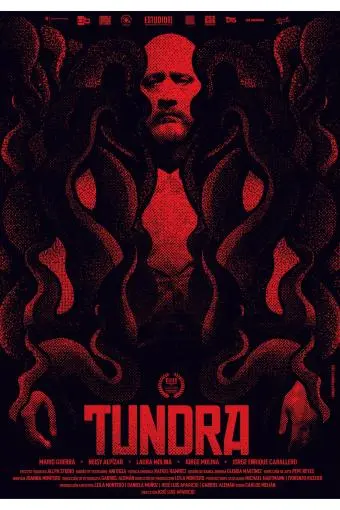 Tundra_peliplat