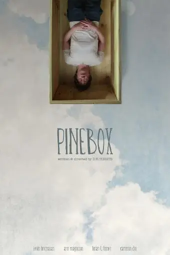 Pinebox_peliplat