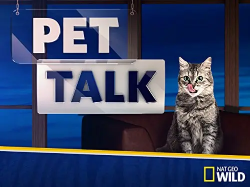 Pet Talk_peliplat
