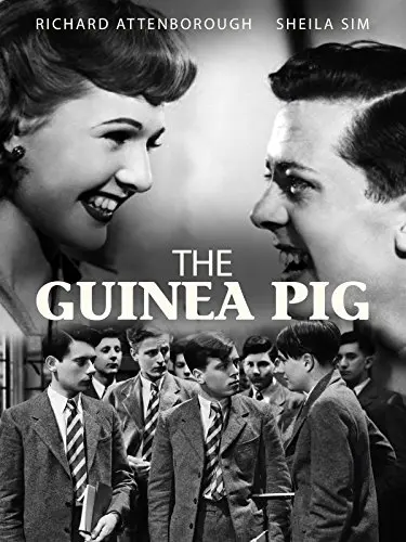 The Guinea Pig_peliplat