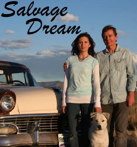 Salvage Dream_peliplat