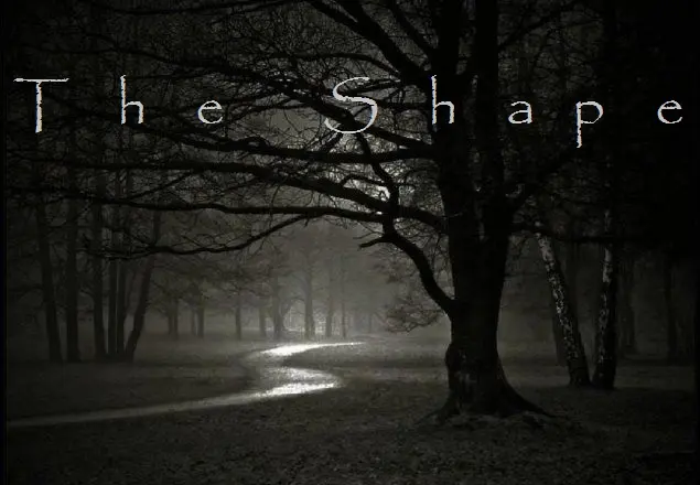 The Shape_peliplat