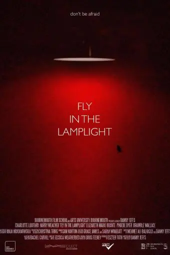 Fly in the Lamplight_peliplat