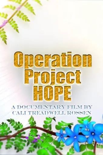 Operation Project Hope_peliplat