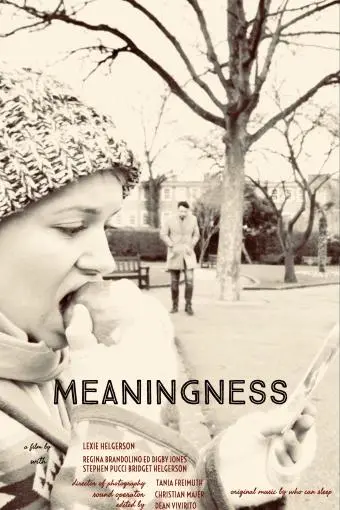 Meaningness_peliplat