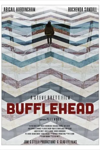 Bufflehead_peliplat