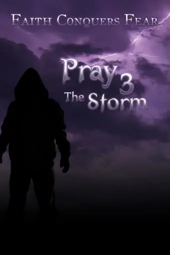Pray 3D: The Storm_peliplat