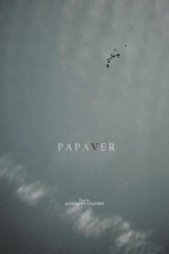 Papaver_peliplat