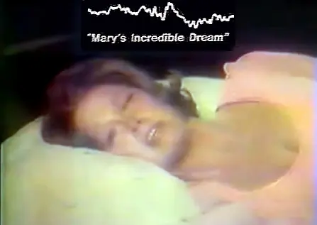 Mary's Incredible Dream_peliplat