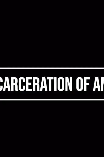 The Incarceration of America_peliplat