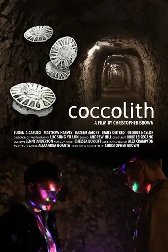 coccolith_peliplat