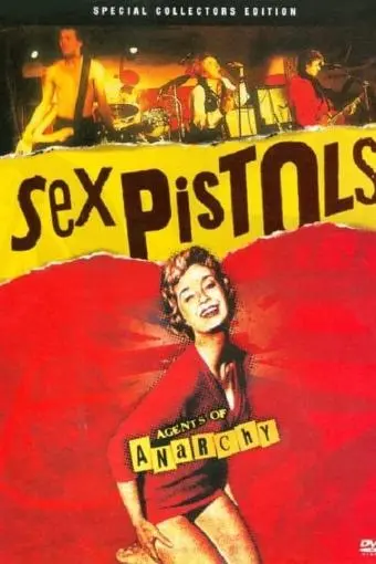 Sex Pistols: Agents of Anarchy_peliplat