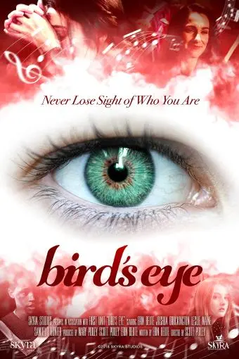 Bird's Eye_peliplat