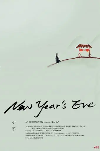 New Year's Eve_peliplat