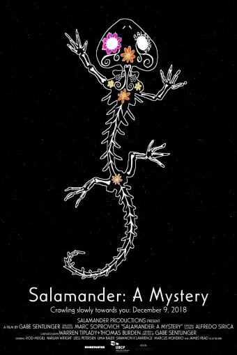 Salamander: A Mystery_peliplat