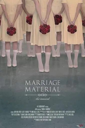 Marriage Material_peliplat