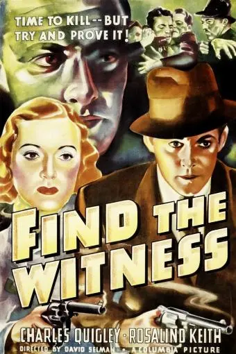 Find the Witness_peliplat