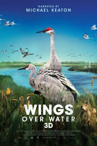 Wings Over Water_peliplat