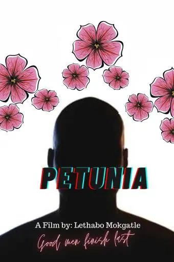 Petunia_peliplat