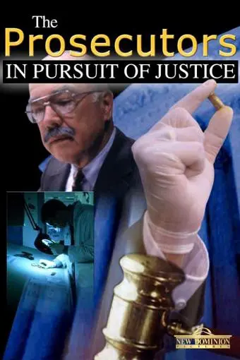 The Prosecutors: In Pursuit of Justice_peliplat