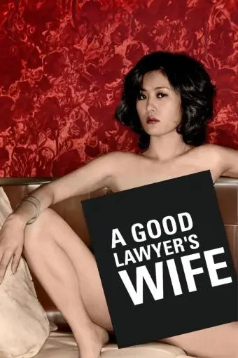 A Good Lawyer's Wife_peliplat