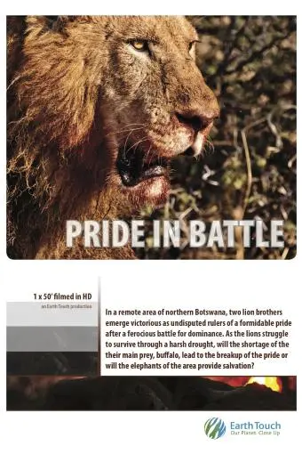 Pride in Battle_peliplat