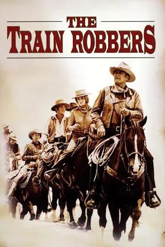 The Train Robbers_peliplat
