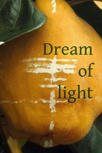 Dream of Light_peliplat