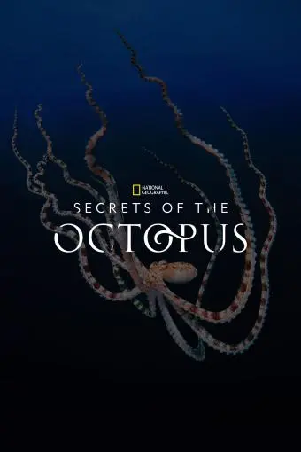 Secrets of the Octopus_peliplat