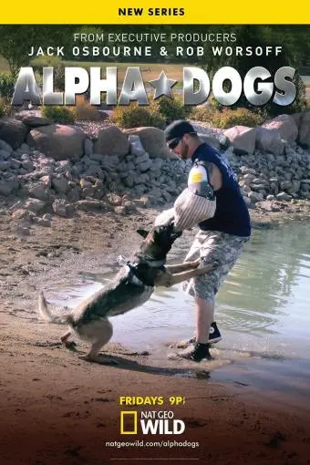 Alpha Dogs_peliplat