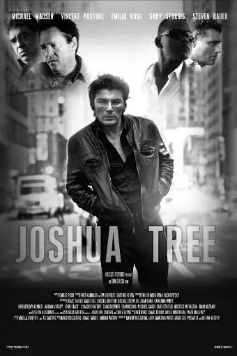 Joshua Tree_peliplat