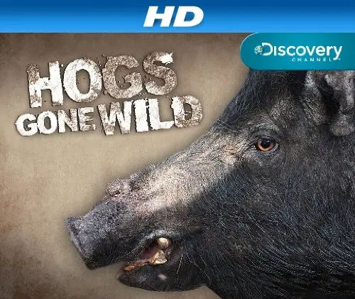 Hogs Gone Wild_peliplat