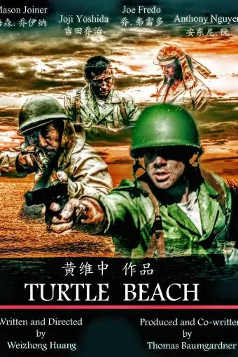 Turtle Beach_peliplat