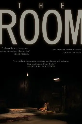 The Room_peliplat