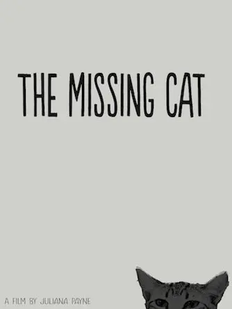 The Missing Cat_peliplat