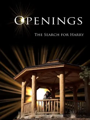Openings: The Search for Harry_peliplat