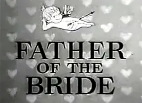 Father of the Bride_peliplat