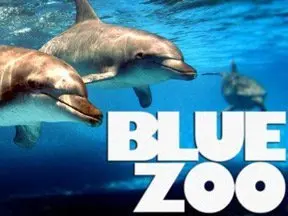 Blue Zoo_peliplat