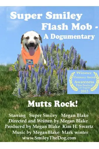 Super Smiley Flash Mob: A Dogumentary_peliplat